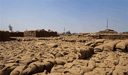 أسعار الغذاء إلى مزيد من الارتفاع